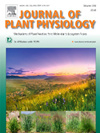 Journal Of Plant Physiology