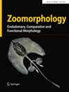 Zoomorphology