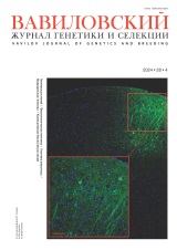 Vavilovskii Zhurnal Genetiki I Selektsii