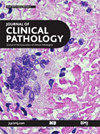 Clinical Pathology