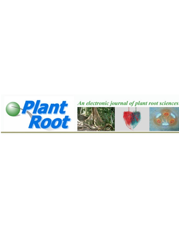 Plant Root